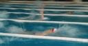 Natation – Barcelone 2013 la finale du 100m nage libre très attendue